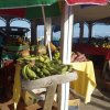 Marigot ( Saint Martin )